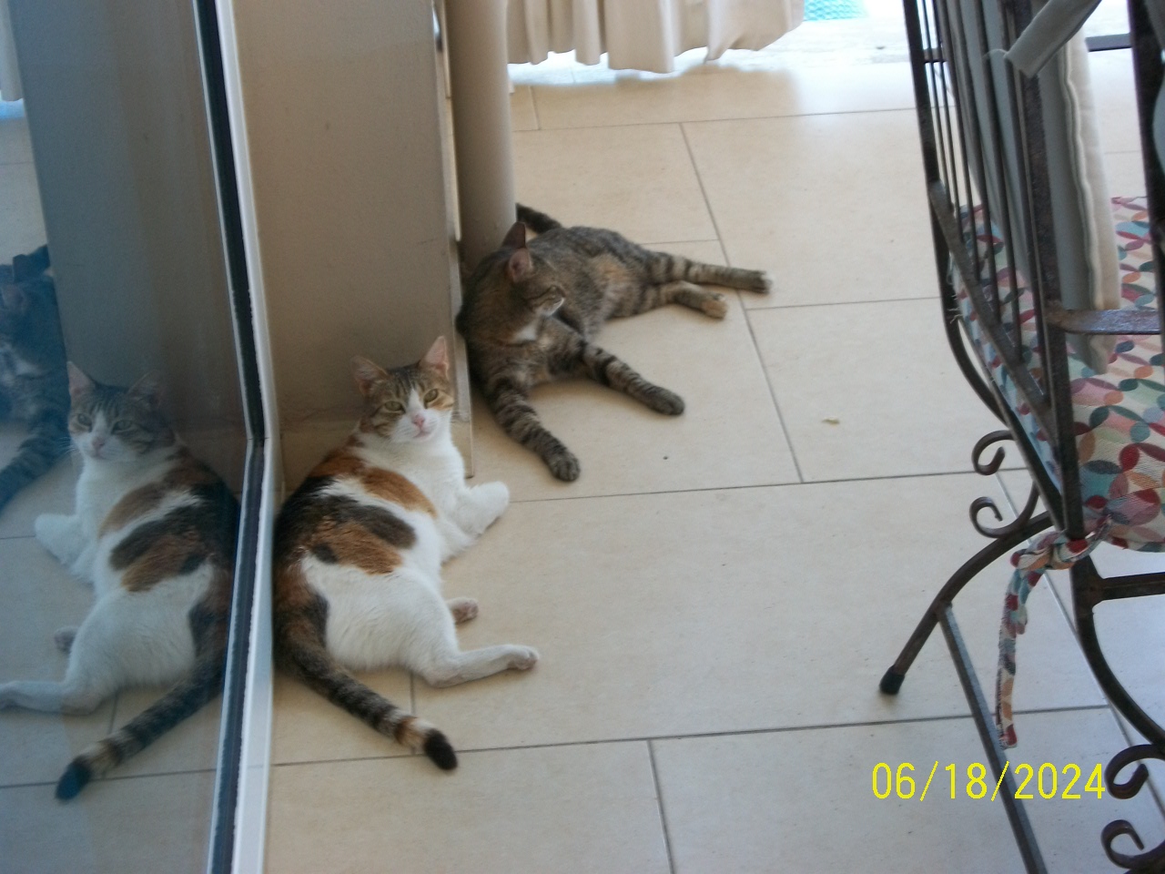 Yefura And Cleopatra