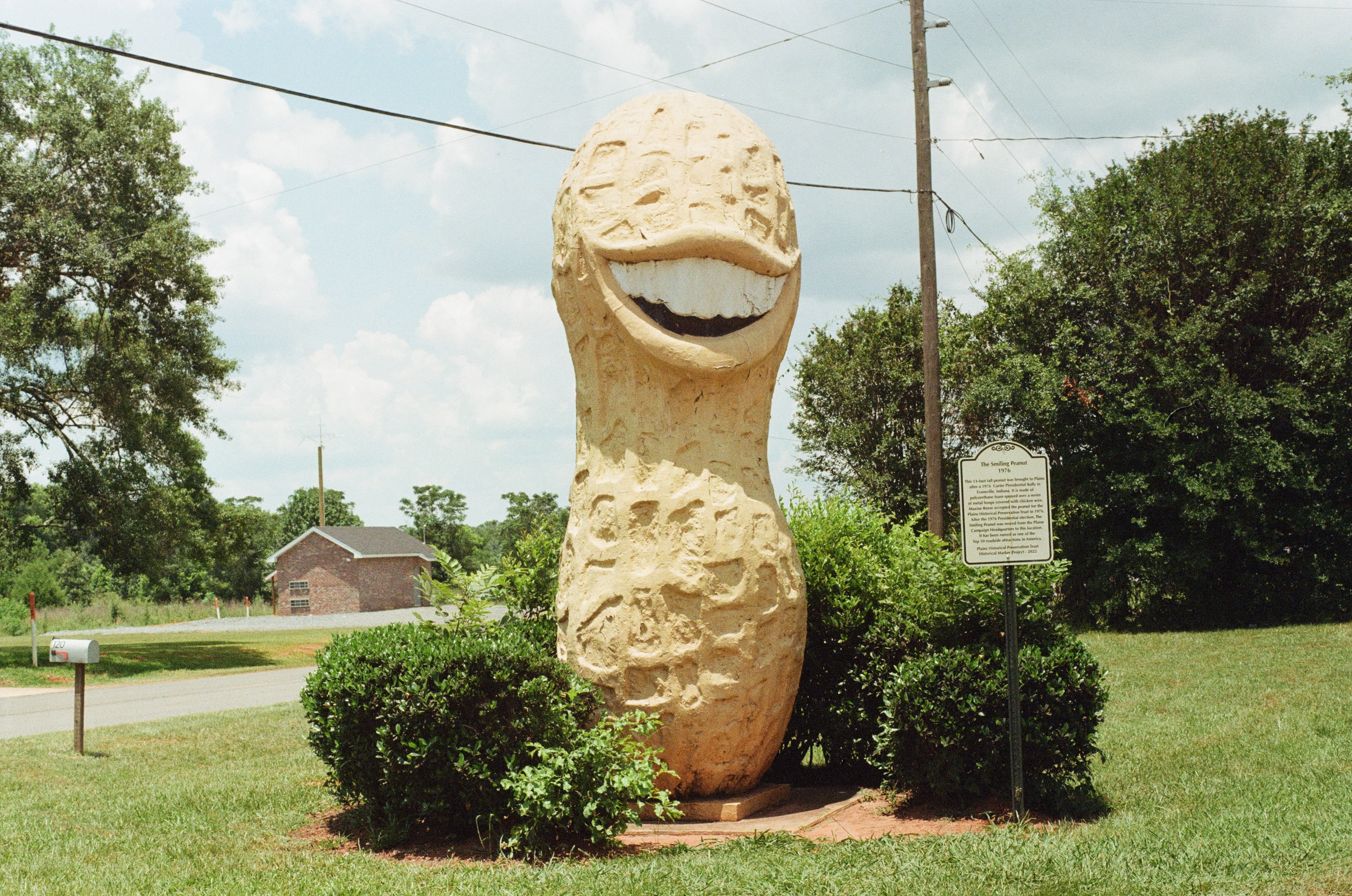 Carter Peanut