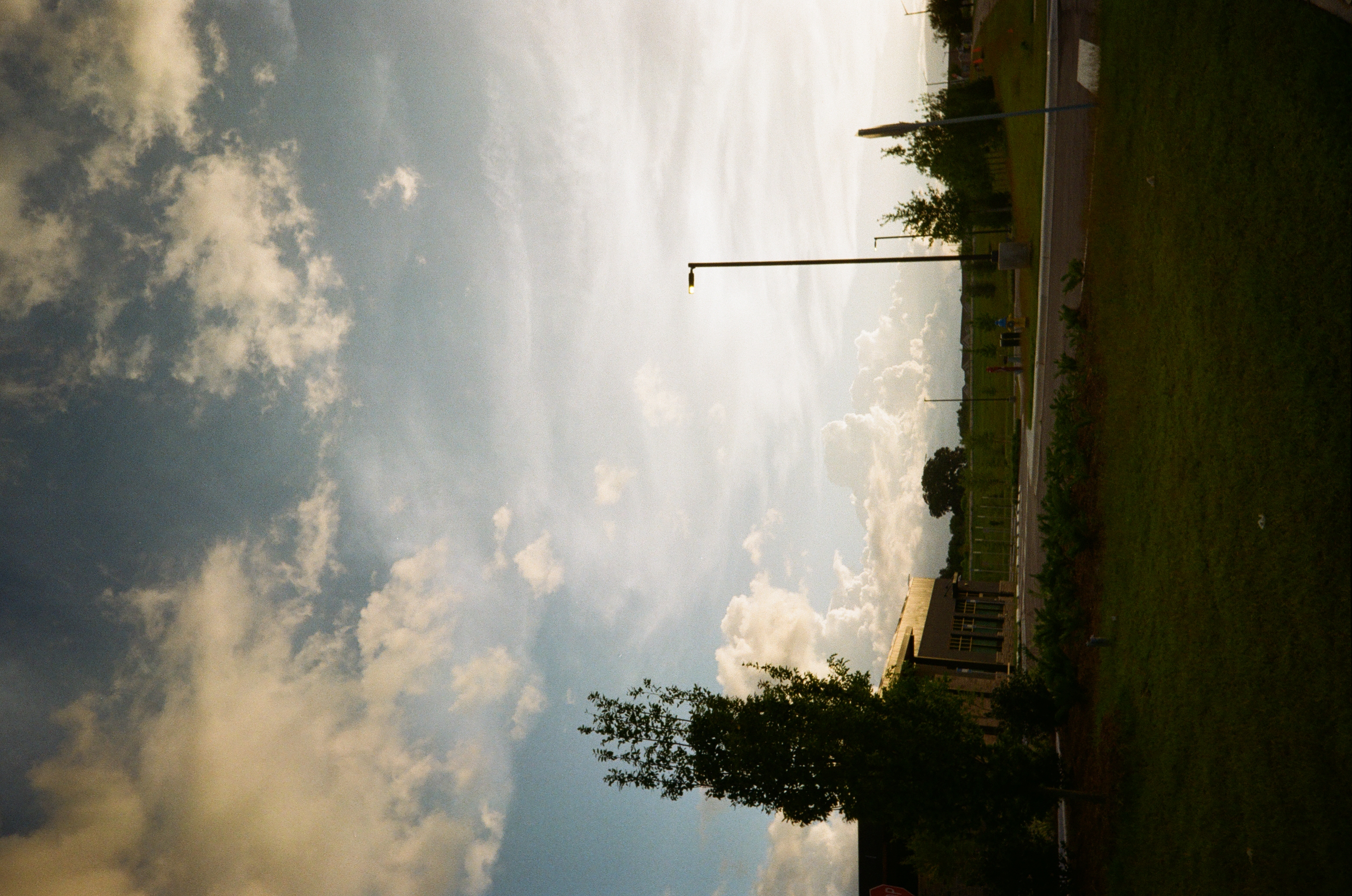 Canopy 5
