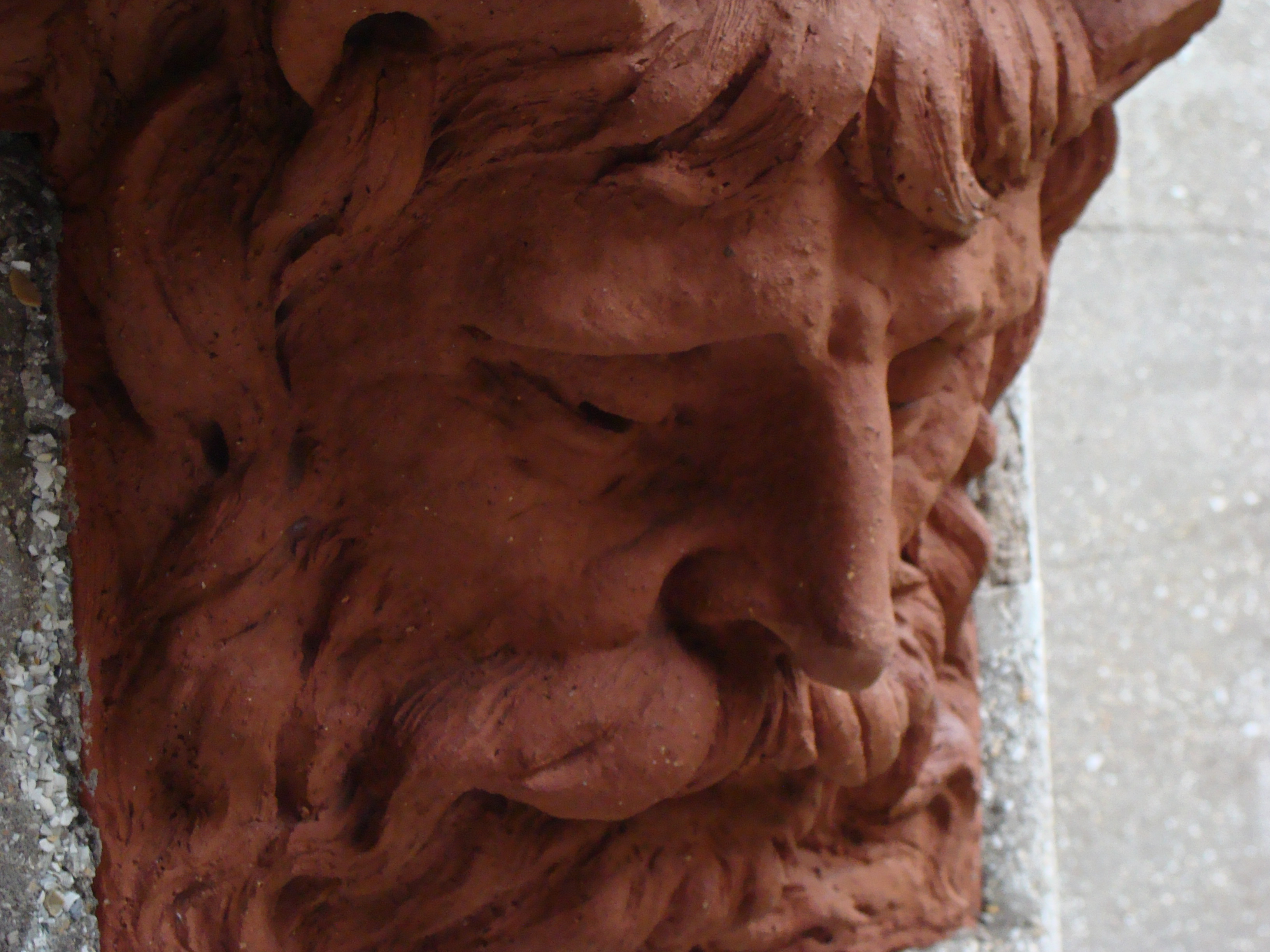 Face