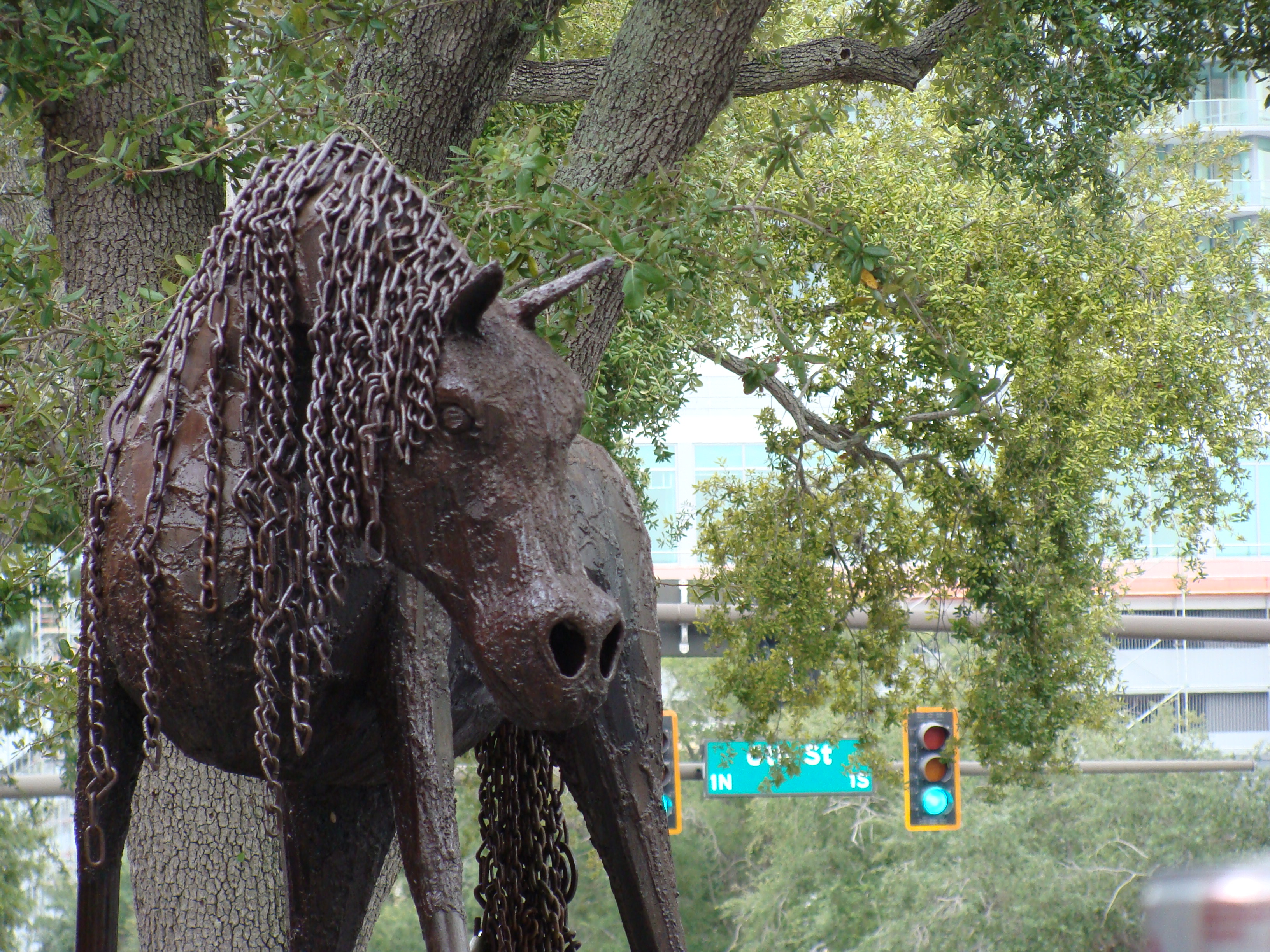 St. Pete Horse
